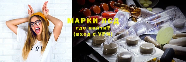 сатива Балахна