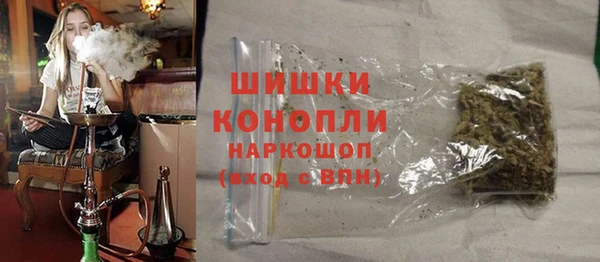 сатива Балахна